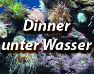 Unterwasser-Dinner, Dinner unter Wasser